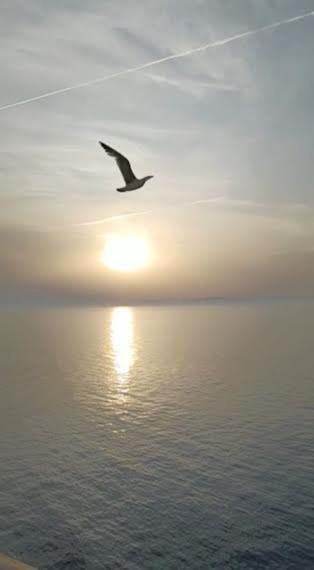 Armareaoverseassuites Fiumicino Bagian luar foto